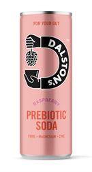 Dalston's Raspberry Prebiotic