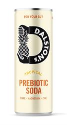 Dalston's Tropical Prebiotic