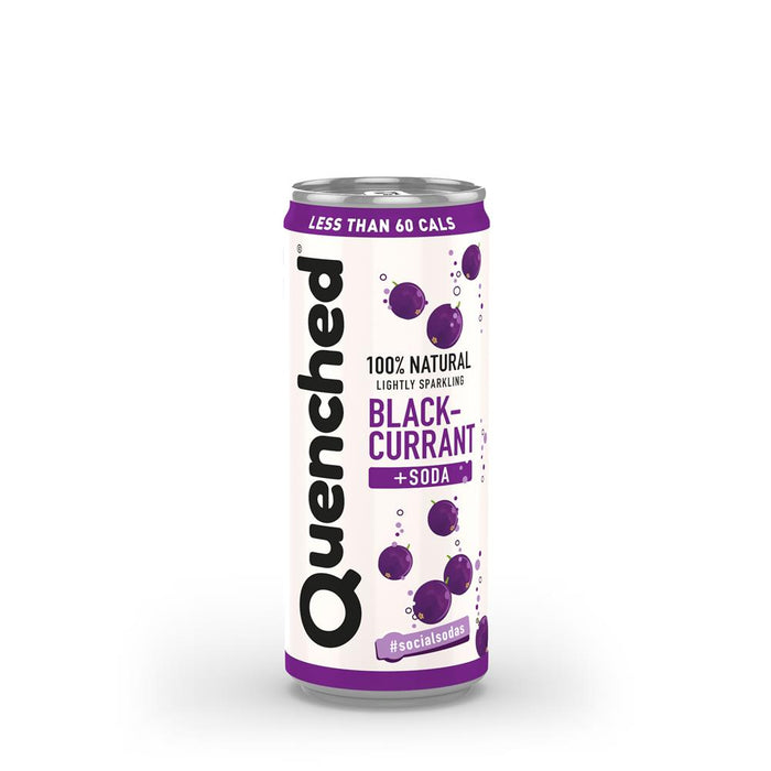 Quenched Blackcurrant + Soda 250ml