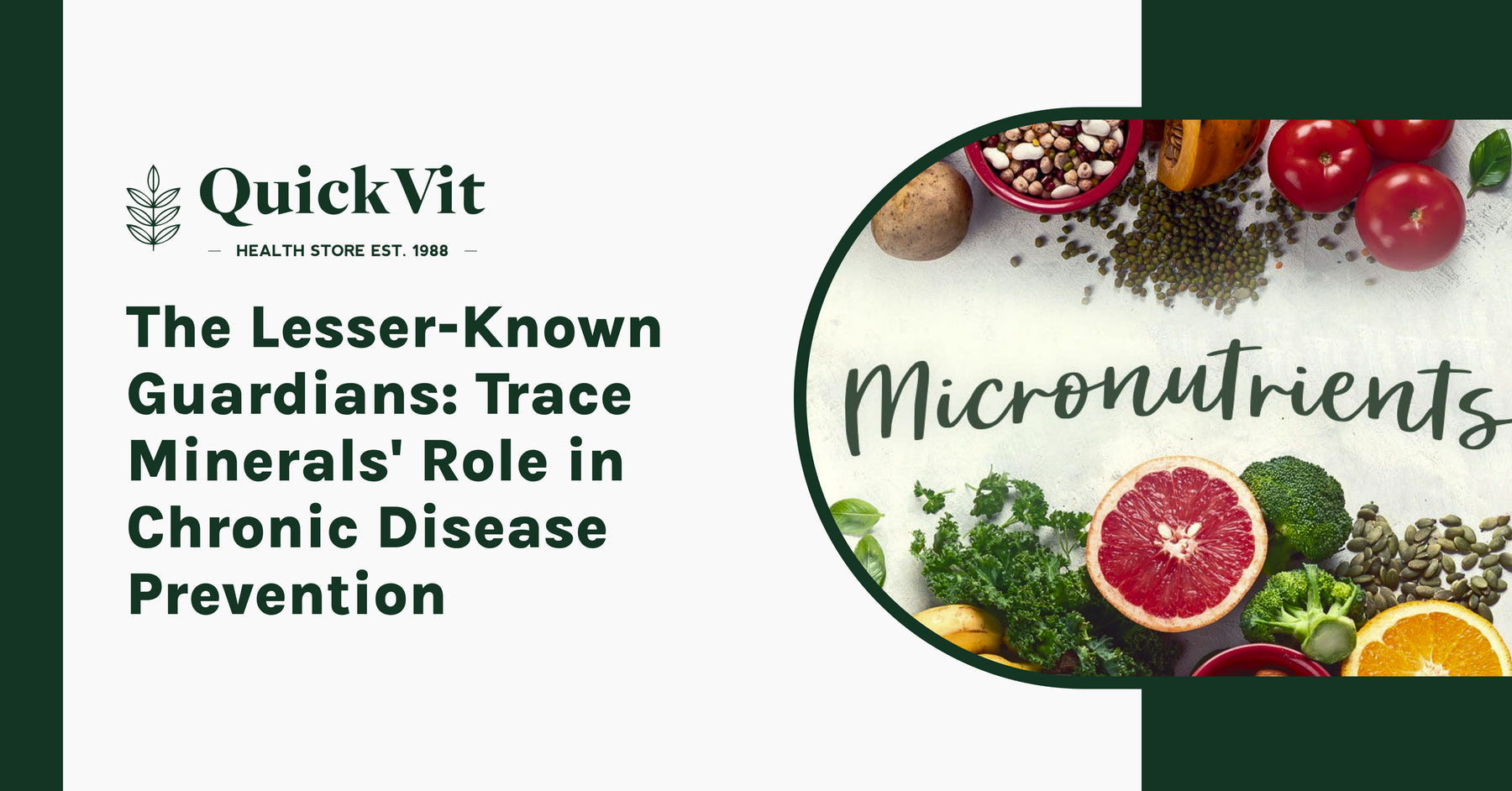 The Lesser-Known Guardians: Trace Minerals' Role in Chronic Disease Prevention