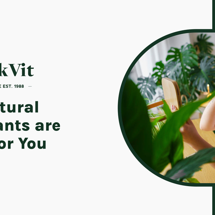 Why Natural Deodorants are Better for You