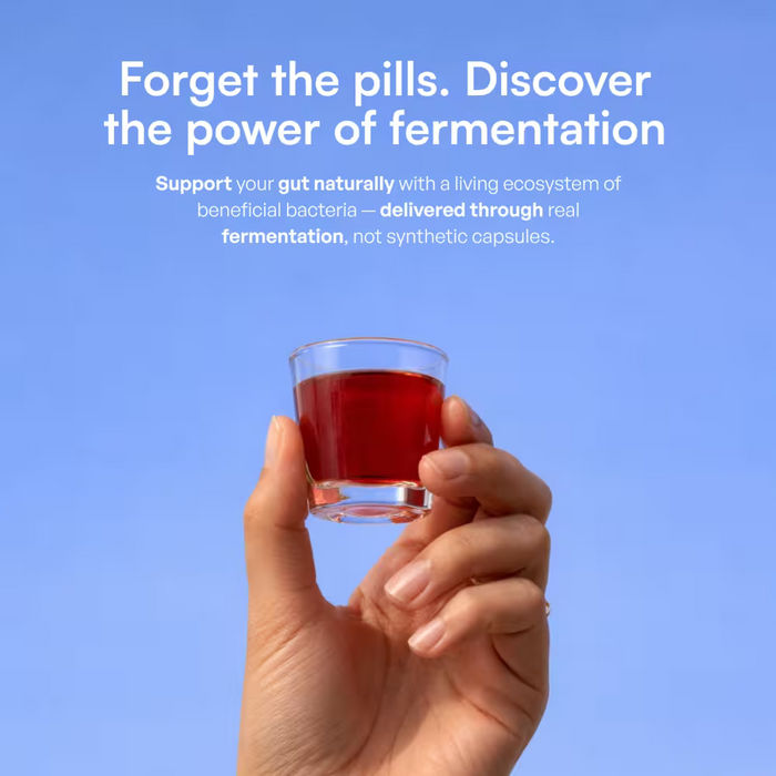 Cannumo Goodie Fermented Blackcurrant Drink 500ml