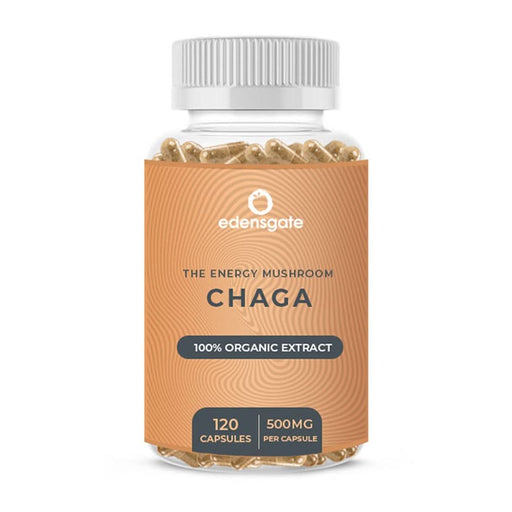 Edens Gate Chaga Mushroom Premium Extract 500mg 120 Capsule