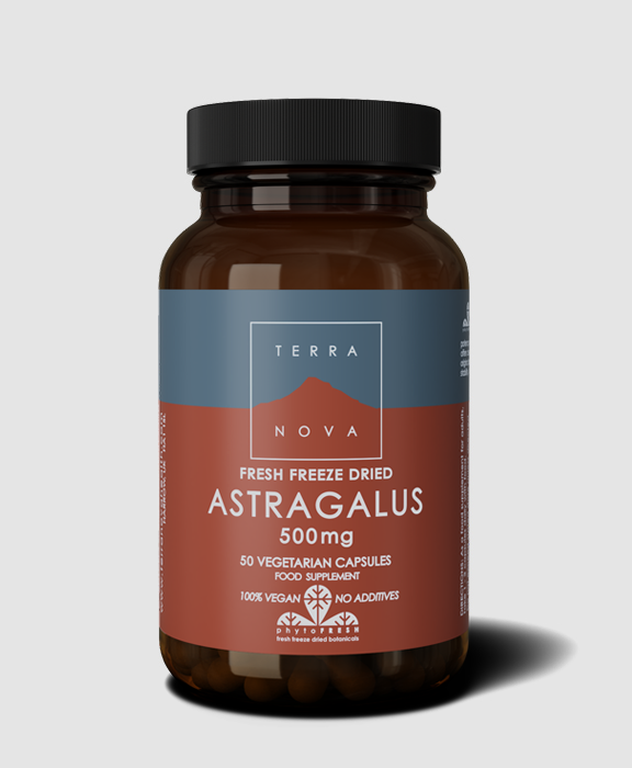 Terranova Astragalus 500Mg 50 Capsules