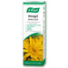 A.Vogel Atrogel Fresh Arnica Gel 100ml - Non-Greasy Herbal