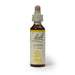 Bach Flower Remedy Gorse 20ml