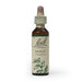 Bach Flower Remedy Holly 20ml