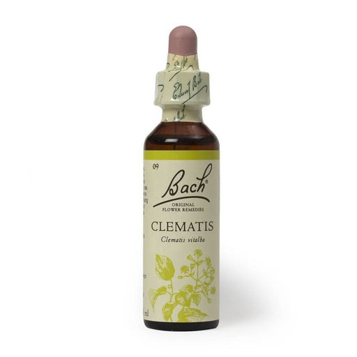 Bach Flower Remedy Clematis 20ml