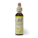 Bach Flower Remedy Clematis 20ml