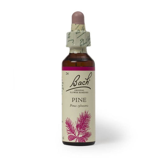 Bach Flower Remedy Pine 20ml