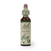Bach Flower Remedy Walnut 20ml