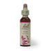 Bach Flower Remedy Elm 20ml