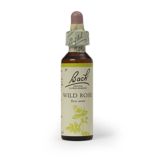 Bach Flower Remedy Wild Rose 20ml