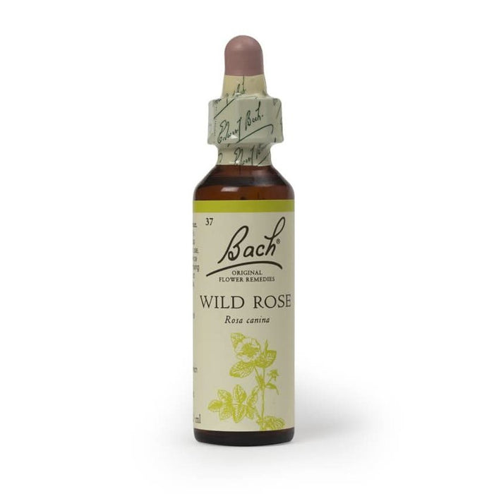 Bach Flower Remedy Wild Rose 20ml