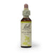 Bach Flower Remedy Wild Rose 20ml
