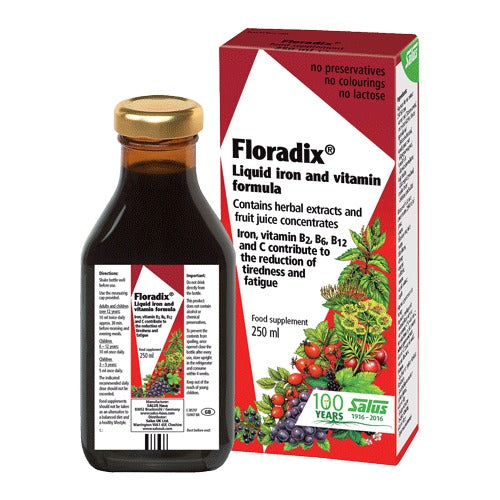 Floradix Liquid Iron 250ml