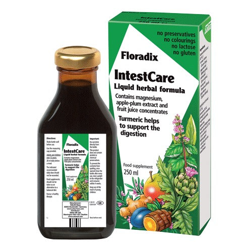 Floradix IntestCare 250ml
