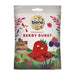 Biona Organic Fruit Burst 75g