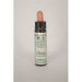 Dr Bach Chicory Bach Flower Remedy 10ml