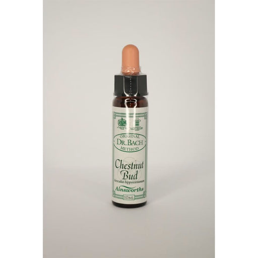 Dr Bach Chestnut Bud Bach Flower Remedy 10ml