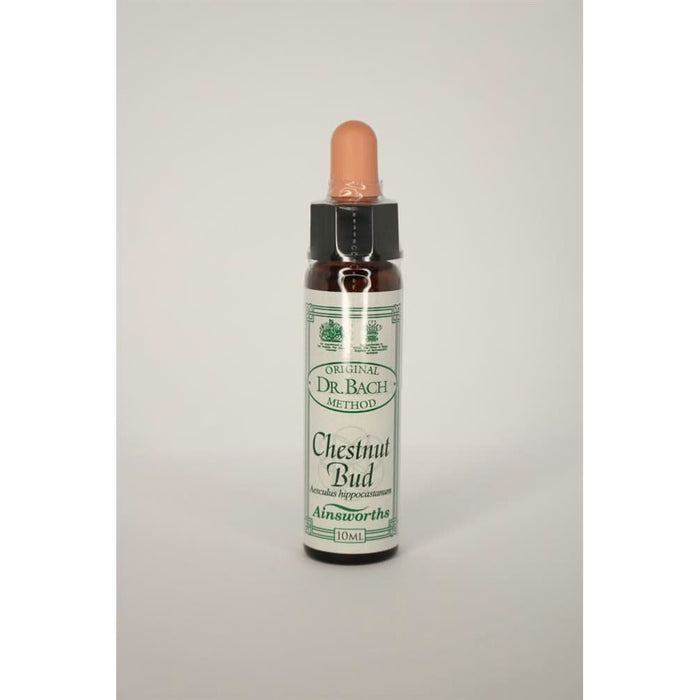 Dr Bach Chestnut Bud Bach Flower Remedy 10ml