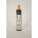 Dr Bach Cerato bach Flower Remedy 10ml