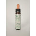 Dr Bach Holly Bach Flower Remedy 10ml