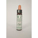 Dr Bach Aspen Bach Flower Remedy 10ml