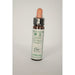 Dr Bach Elm Bach Flower Remedy 10ml