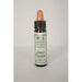 Dr Bach Sweet Chestnut Bach Flower Rem 10ml