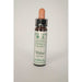Dr Bach Walnut Bach Flower Remedy 10ml