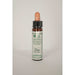 Dr Bach Pine Bach Flower Remedy 10ml