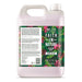 Faith in Nature Dragonfruit Hand Wash 5L