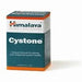 Himalaya Herbal Healthcare Cystone 100 tablet