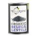 Mr Organic Beluga Lentils 400g