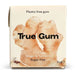 True Gum Ginger & Turmeric 21g