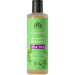 Urtekram Aloe Vera ORG Shampoo Normal 250ml