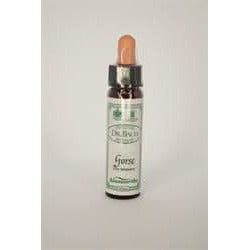 Dr Bach Gorse Bach Flower Remedy 10ml