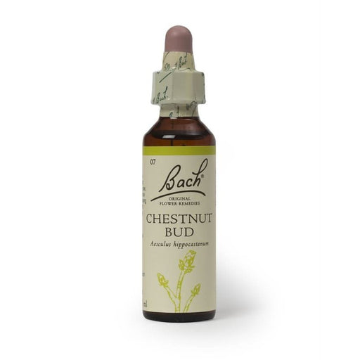 Bach Original Flower Remedies Chestnut Bud 20ml