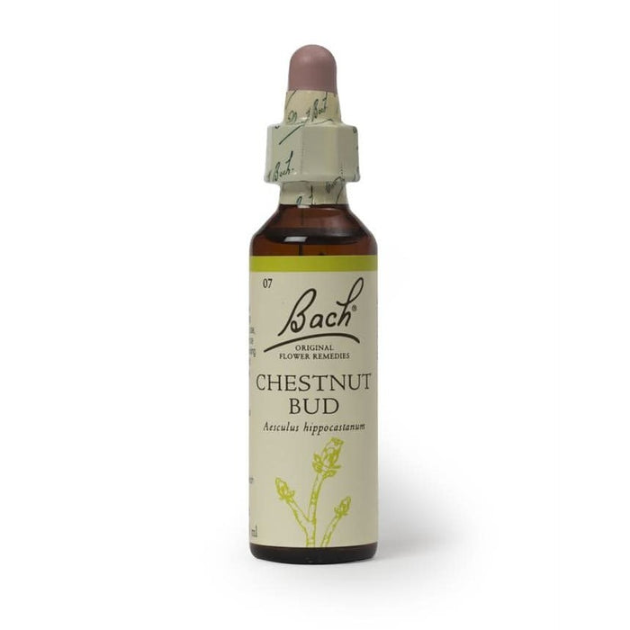 Bach Original Flower Remedies Chestnut Bud 20ml