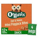 Organix Oat & Raisin Flap Jack 4 x 20g