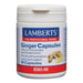 Lamberts Ginger Capsules 60 Tablets