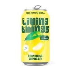 Lemon & Ginger Soda