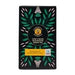 Cheerful Buddha Lion's Mane Green Tea 15 Bags