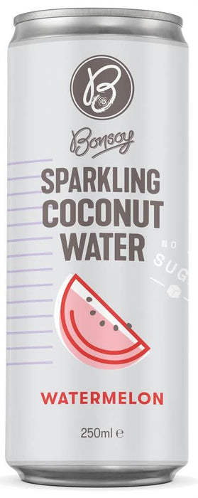 Bonsoy Sparkling Coconut Watermelon 250ml