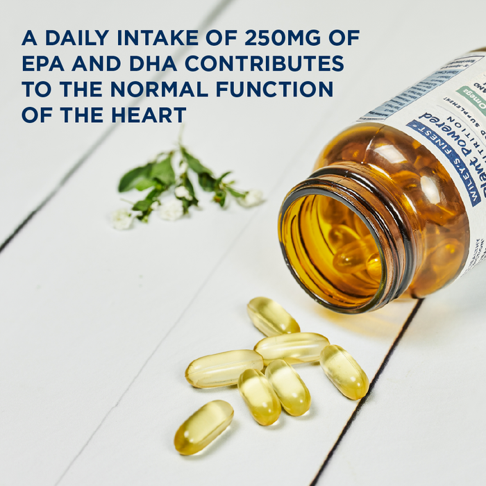 Wiley's Finest Vegan Omega-3 DHA 500mg - Algae-Based 60 Capsules