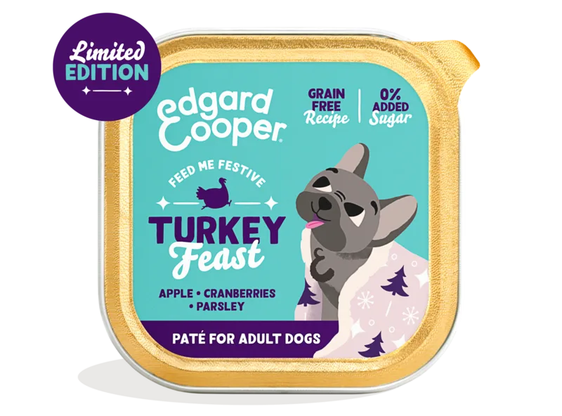 Edgard and Cooper Dog Adult Pate Cup Festive Turkey 150g