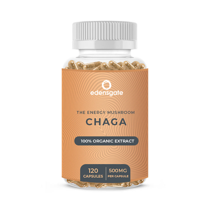 Edens Gate Chaga Mushroom Premium Extract 500mg 120 Capsule