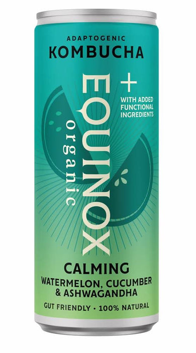 Equinox Kombucha Watermelon & Cucumber Kombucha 250ml