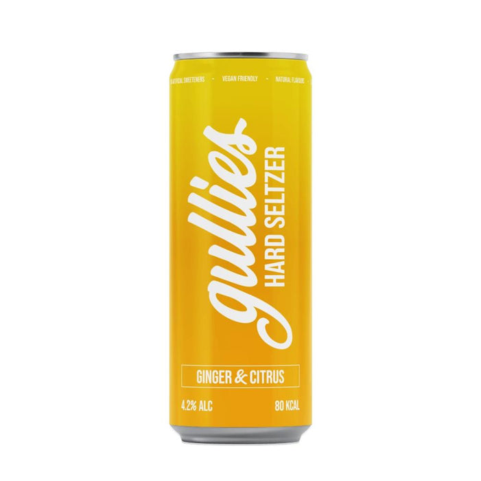 Hard Seltzer Ginger & Citrus 330ml